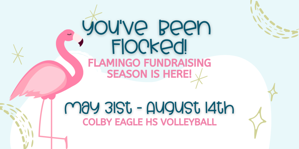 Pink Flamingo on blue and white abstract background with green dotted circles and stars. Text reads "You've been flocked! Flamingo fundraising is here! May 31st - August 14th Colby Eagle HS Volleyball"